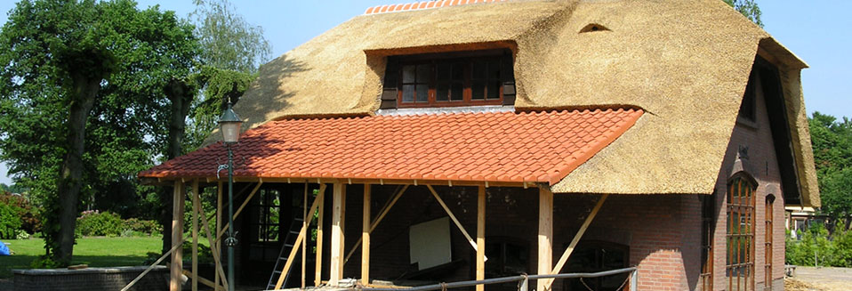 Boerderij met pannen en riet